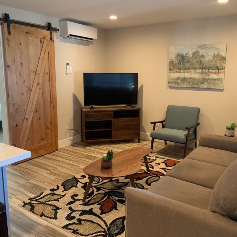 Modern living room with couch and TV.