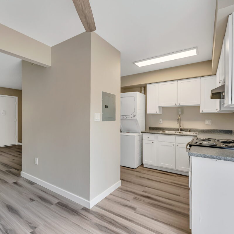 Modern kitchen with white cabinets and appliances