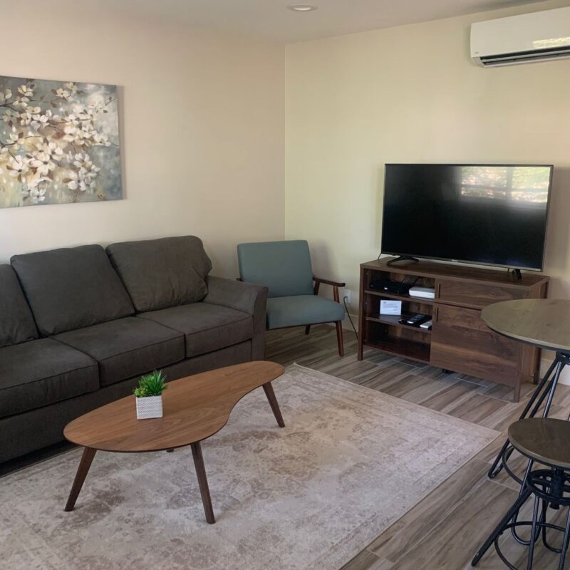 Modern living room with sofa, TV, and air conditioner.