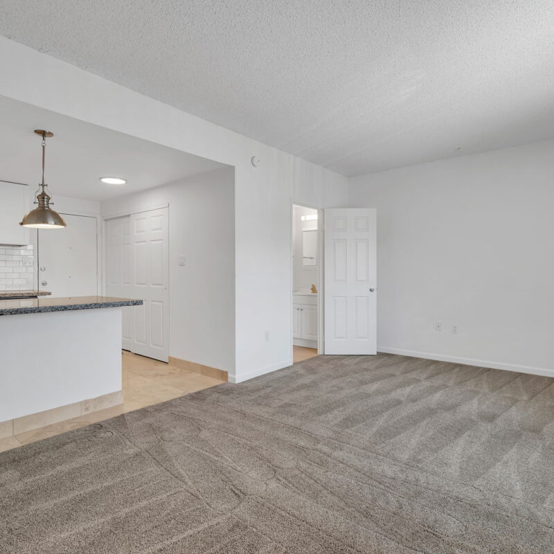 Open plan kitchen and living area with carpet.